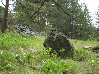 In the valley, a rock marker with a chipmunk on it, Eagle Bluff Trail 2013-05.